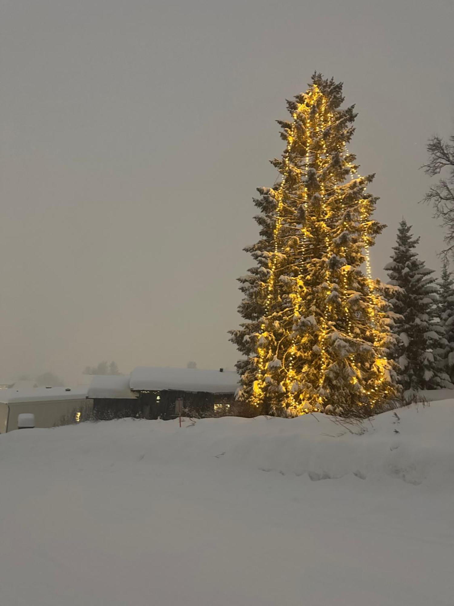 Koselig Byleilighet Sor I Sentrum Av Tromso. Exterior foto